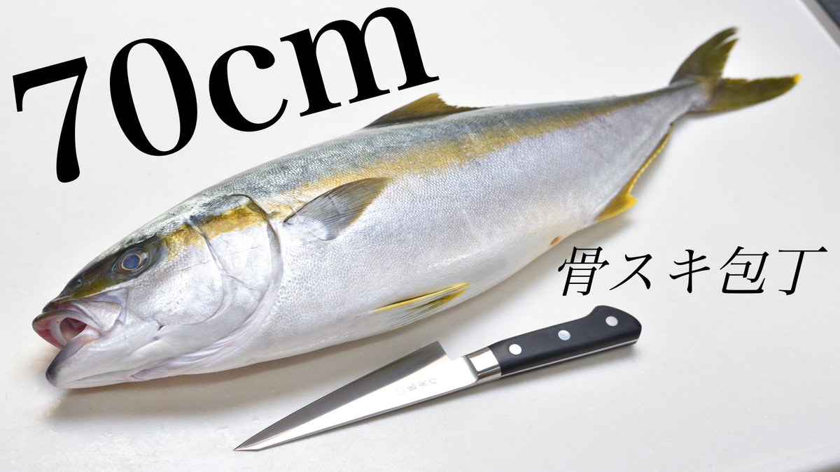 バッシー 今日ものんびり魚さばき Nonbiri Sakana Twitter