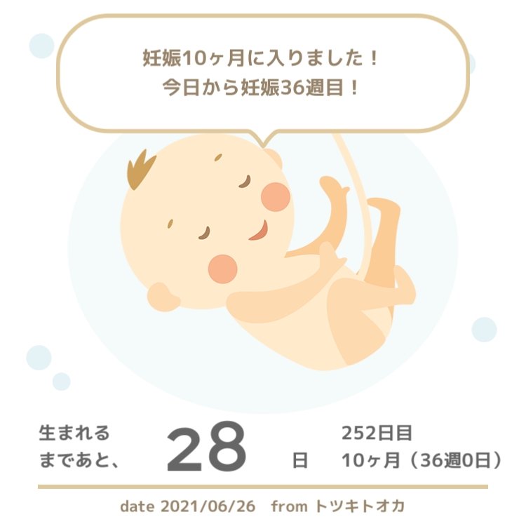 妊娠後期 Twitter Search