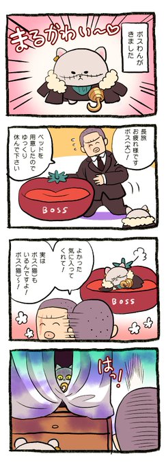 ダズのかわいいの座は渡さない…!🔥🔥🔥 