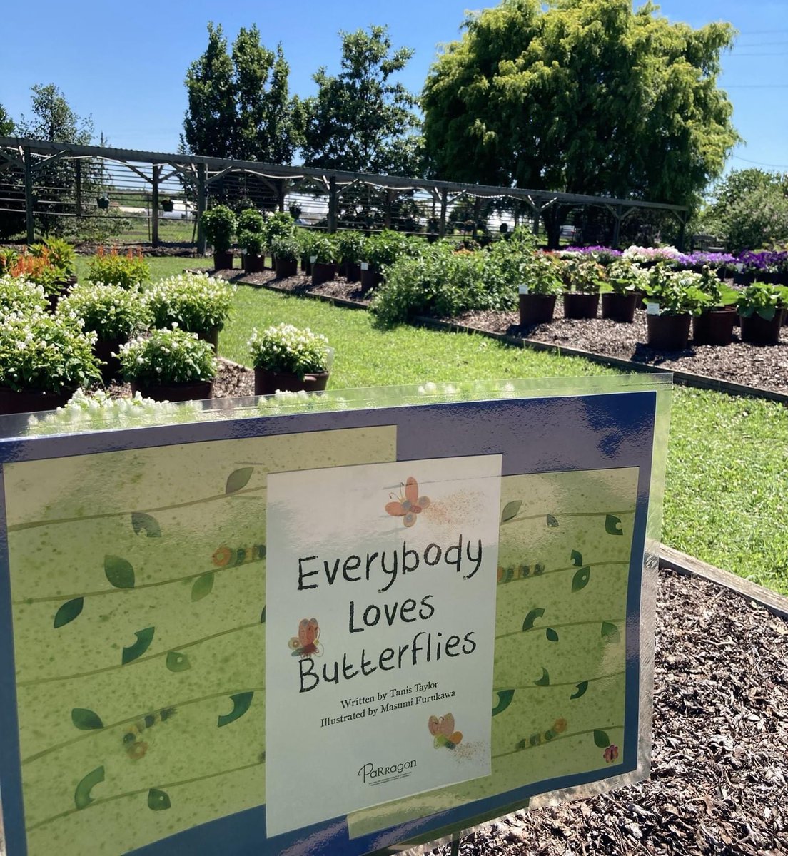 jcraulstonarb's tweet photo. A new Garden Story Walk is out in the gardens starting today!  Come out and read "Everybody Loves Butterflies" by Tanis Taylor while enjoying the Annual Color Trials!  The Garden Story Walk will be in the gardens until Friday, July 2. https://t.co/p92pv1yB5i