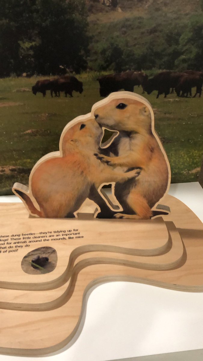 Adam Jacobson tweet media