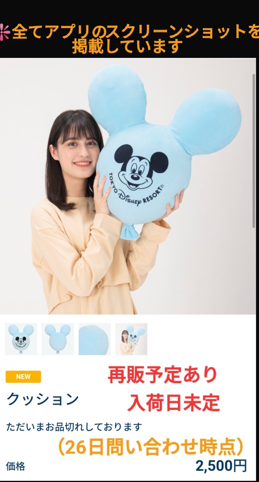 Tdr ディズニー ぷらん 再販予定あり クッション カチューシャ ミッキー バルーン グッズ 入荷日未定 販売終了 ランド38周年 ミニー ぬいば ミッキーバルーン 風船 ペットボトルケース パークの夜空 花火 ステンレスボトル ウォッシュタオル バスタオル