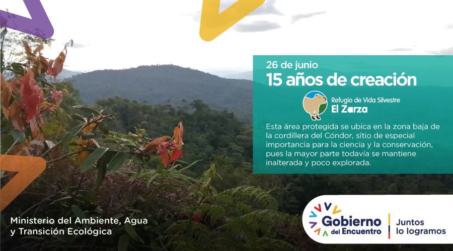 MAATE_Zonal10's tweet photo. ANIVERSARIO | #15AñosDeCreación del Refugio de Vida Silvestre El Zarza. Sus 3.696 ha, se ubican en la zona baja de la cordillera de El Cóndor, convirtiéndola en un área de vital importancia para la conservación y especialización de gran biodiversidad 🌳🐾🐸#TransiciónEcológica https://t.co/zQKGgxr2rR