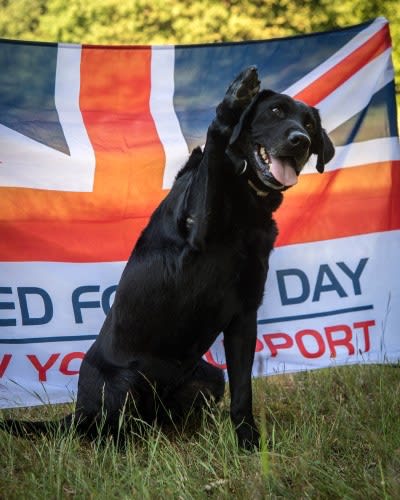 JRFLATROOFING's tweet photo. Saying thank you to all who have served including the animals on Armed Forces Day ❤️❤️🇬🇧🇬🇧🏴󠁧󠁢󠁥󠁮󠁧󠁿🏴󠁧󠁢󠁥󠁮󠁧󠁿 https://t.co/w6oFqExGJb