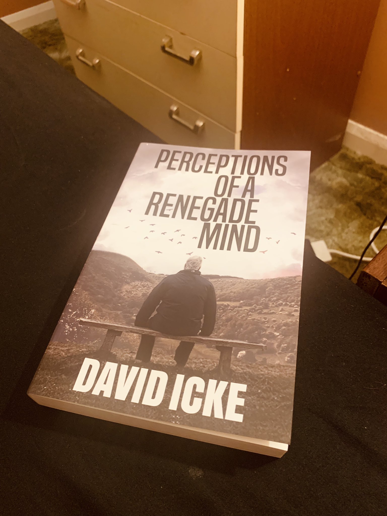 Perceptions of a Renegade Mind 