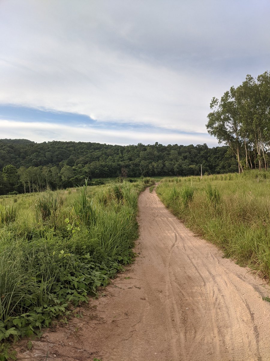 Feeling the <a href="/wser/">Western States 100</a> weekend energy all the way in Thailand. Here's a shot from a beautiful and humbling Saturday long run. #100miletraining