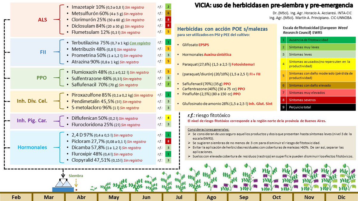 📌  Uso de herbicidas en PSI-PRE en Vicia  🌿
Integrando Cultivos de cobertura con herbicidas, aportes al #manejomalezasintegrado
♻️🔄🧩
👇🏽
