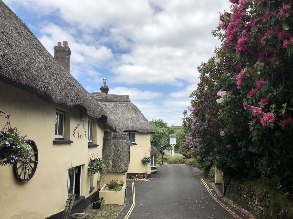 Fran Traxton tweet media