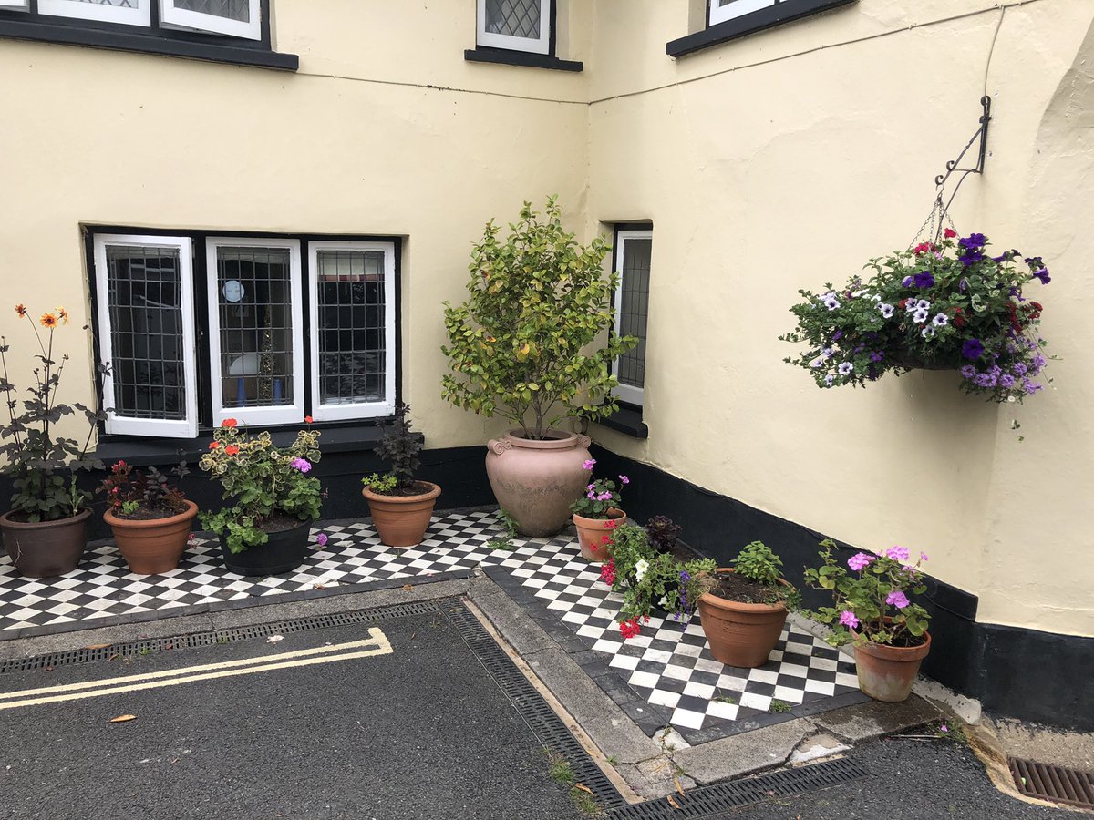 Fran Traxton tweet media