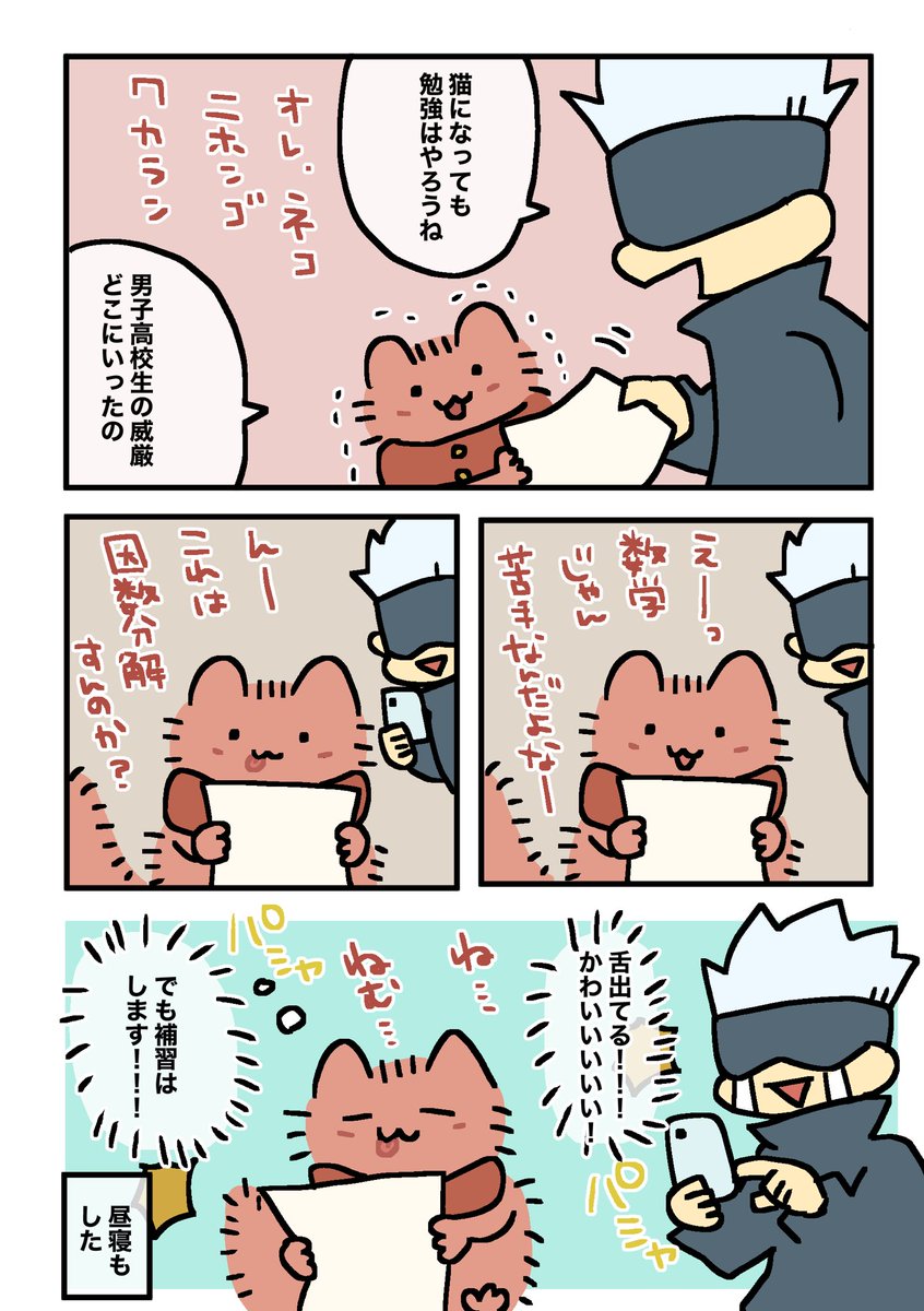 🐱杖と数学 