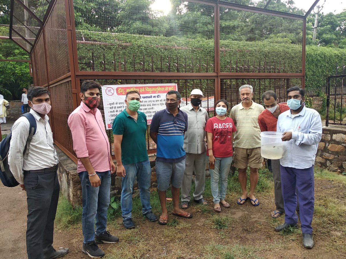 gajainderYDVBJP's tweet photo. @UStrwa पदाधिकारी व मेहरौली मलेरिया टीम ने मिलकर  #गम्बूसिया मछली #शम्शी तालाब में डाली जो मच्छरों का लार्वा खाएगी । निगम पार्षद श्रीमती @rt_aartisingh जी नीला हौज, मछली पार्क में पहले ही डाल चुकी है । मुझे शामिल होना था मित्र के पिताजी का अकस्मात निधन होने के कारण अनुपस्थित रहा https://t.co/6xo91KAzDl