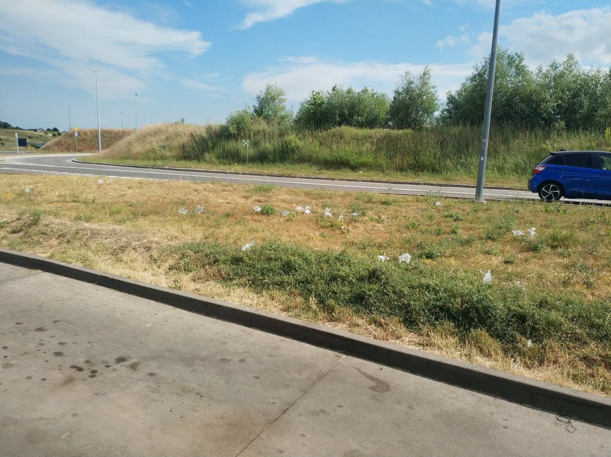 Ale pięknie rosną rękawiczki