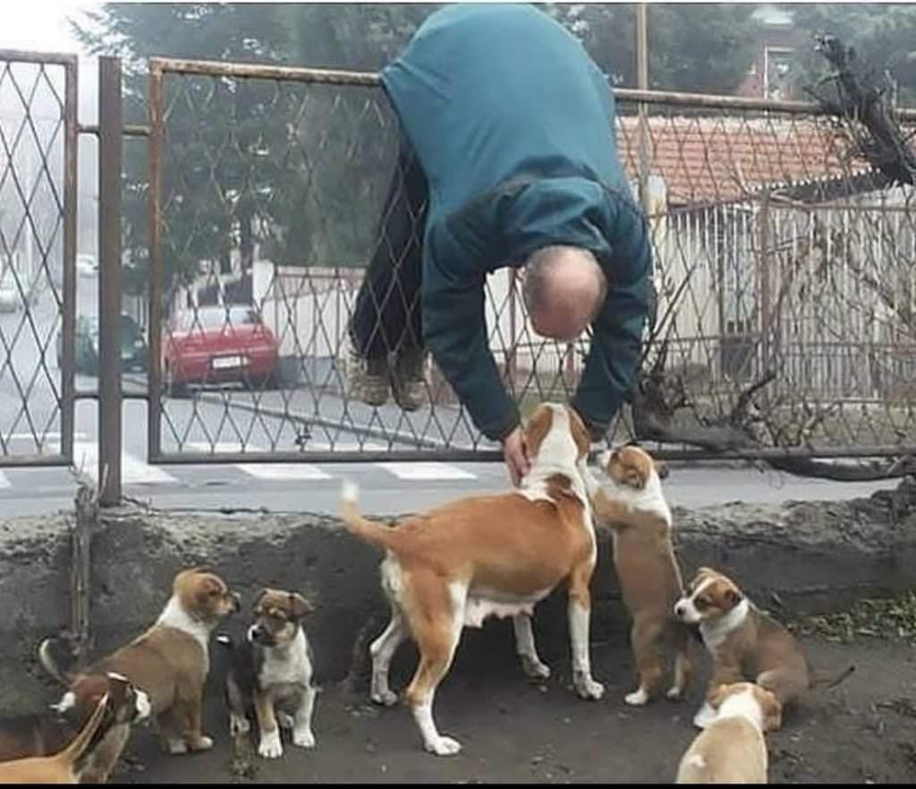 EtMeSolta's tweet photo. Pra quem não me conhece eu sou assim: https://t.co/YvOaV1ke5T