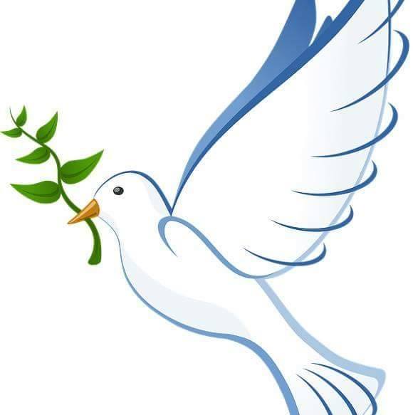 이해웅 (@kimzhan59203204) on Twitter photo 