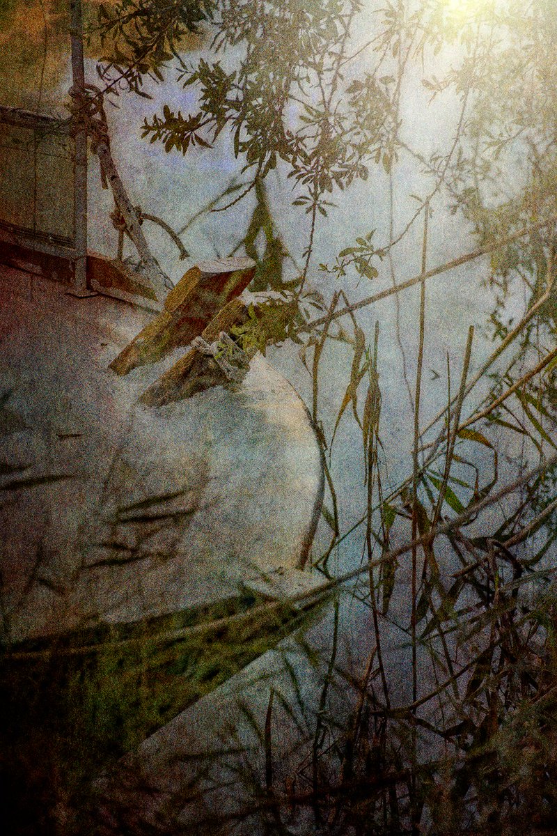 jpegjohnny's tweet photo. Still-life on the river that flows through the beautiful town of Dalyan in Southern Turkey.

#Photographyisart  #photography https://t.co/2AQ2i3CzHT