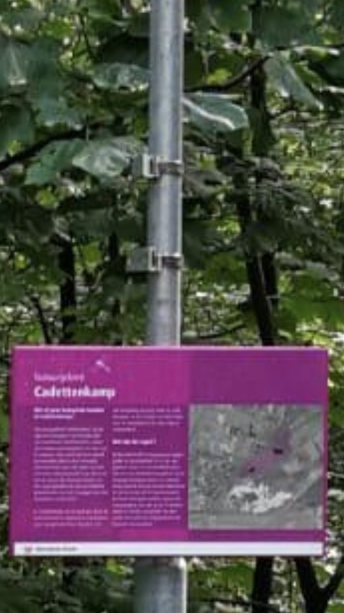 TRIEST - Het gistermiddag door burgemeester Paul Depla van Breda met ondergetekende opgehangen herdenkingsbord voor het in 1990 in het Cadettenkamp vermoord gevonden ‘Meisje van Teteringen’ blijkt al te zijn gestolen, of met professioneel gereedschap verwijderd. Aangifte gedaan!