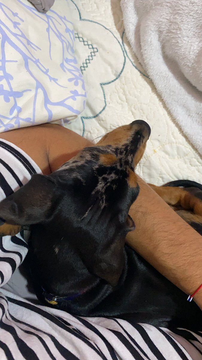 BUENOS DÍAS ☀️