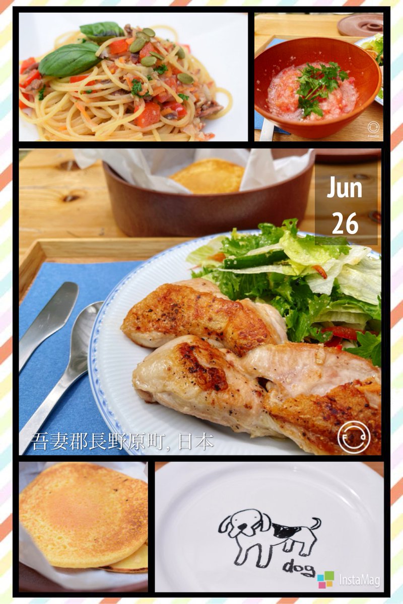 軽井沢rose 浅間牧場すぐ近くにあるドッグカフェ スミレ ハウス さんでランチ 貸し切りテラスの前にはドッグランがあって看板犬のパンジーちゃんはとっても優しくて良い子 ハーブやクミンがアクセントになったサラダやパスタ サルサソース 手作りの