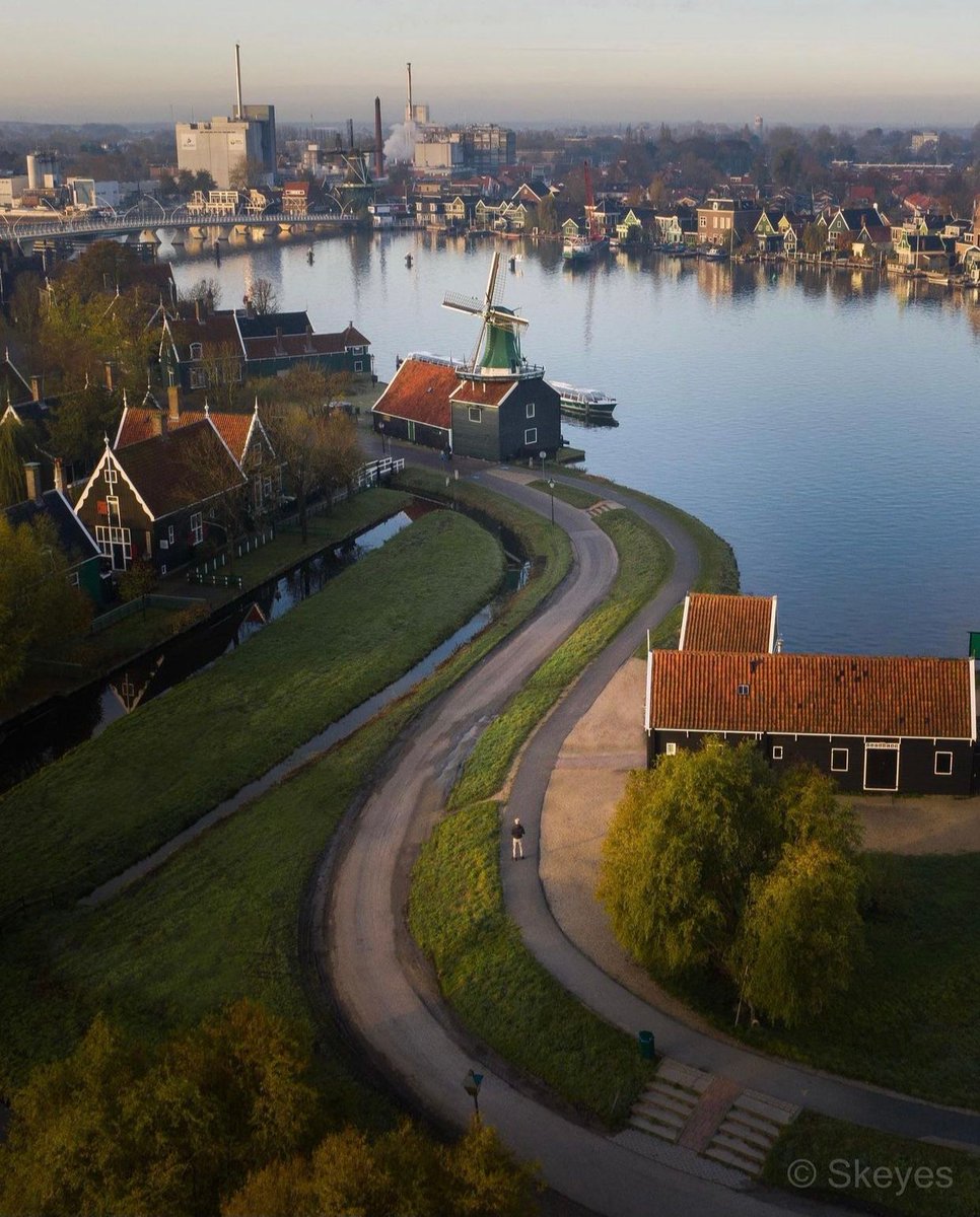 nature art tweet media