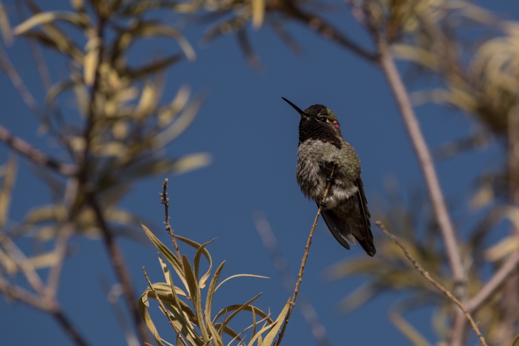 When we took the time to stop and observe our surroundings during the expedition, we were always pleasantly surprised by all the critters around.
#TheRiverandtheWall