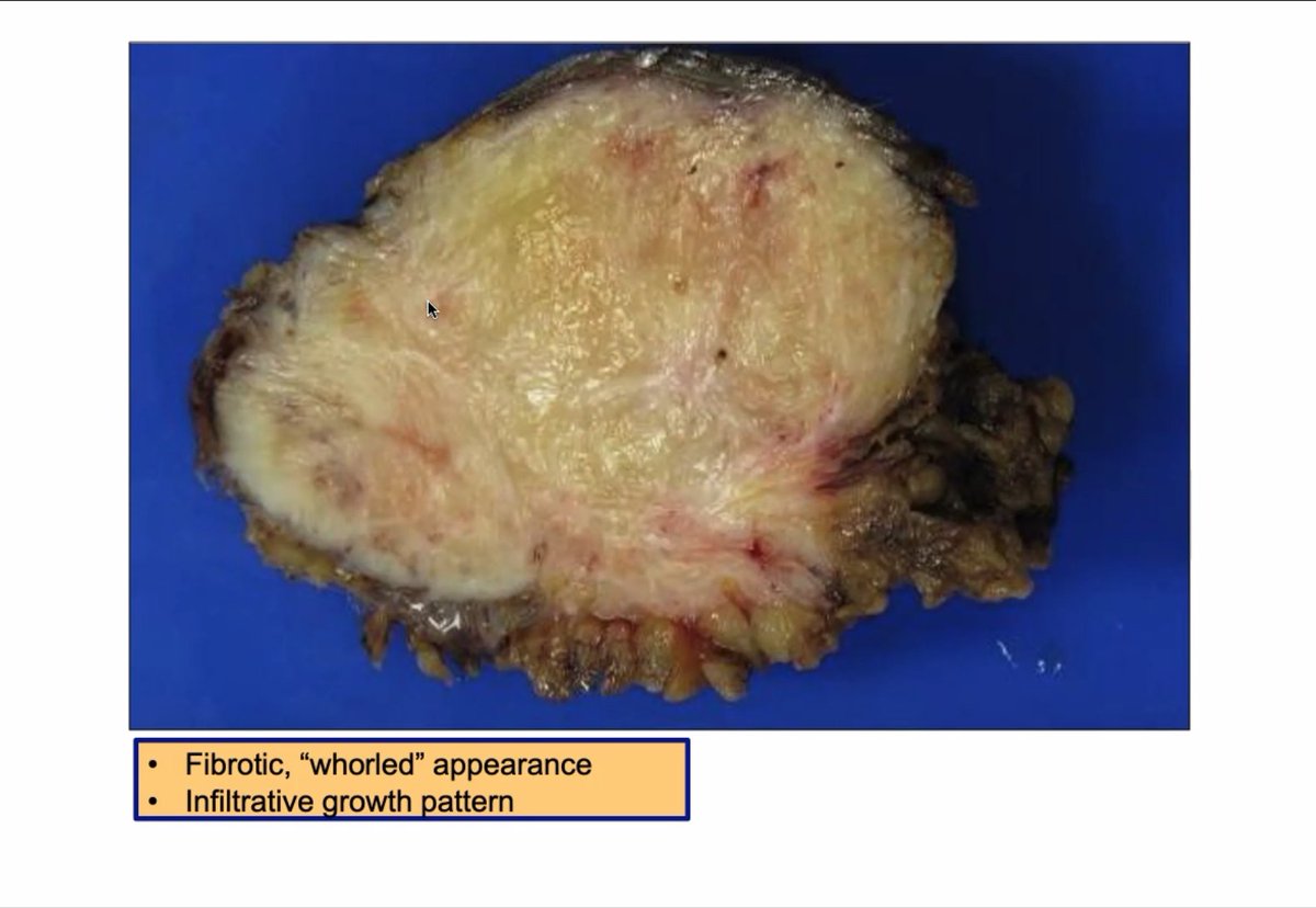 Emmanuelle Chung tweet media
