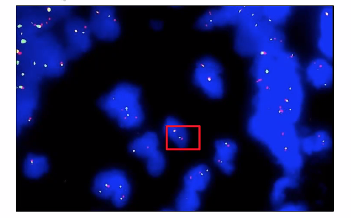 Emmanuelle Chung tweet media