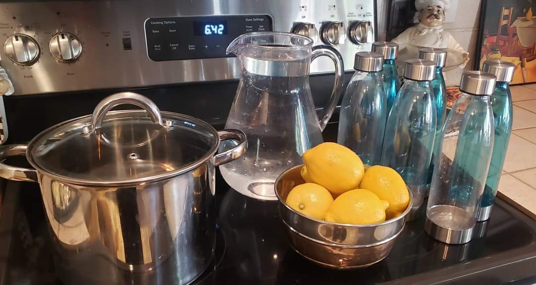 SDBUMBLEBEE's tweet photo. Okay everybody time for a fresh batch of Lemon 🍋 Water 💧.......I'm down 40lbs....Bumblebee https://t.co/BkENmWR4jy
