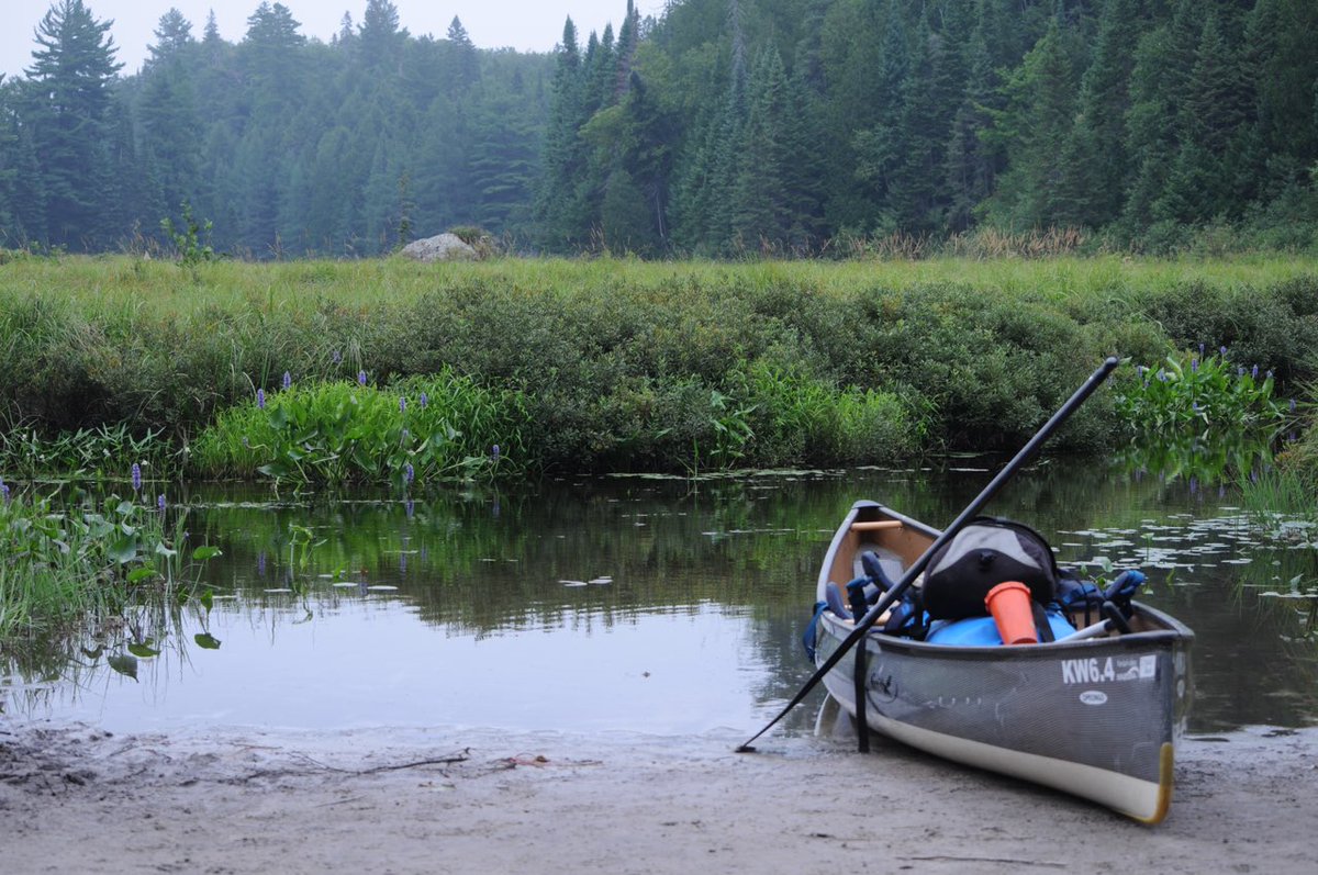 Algonquin_PP's tweet photo. Happy National Canoe Day!
One of our favourite things is seeing your photos of canoeing or canoes in the Park - so please share below!
๐ถ๐ถ๐ถ
Happy paddling!
#CanoeViews #NationalCanoeDay #Algonquin #Paddle #Canoe #CanoeTrip #FindYourselfHere https://t.co/DjdaSUz3jP