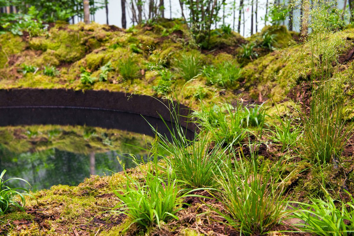 Superflux tweet media