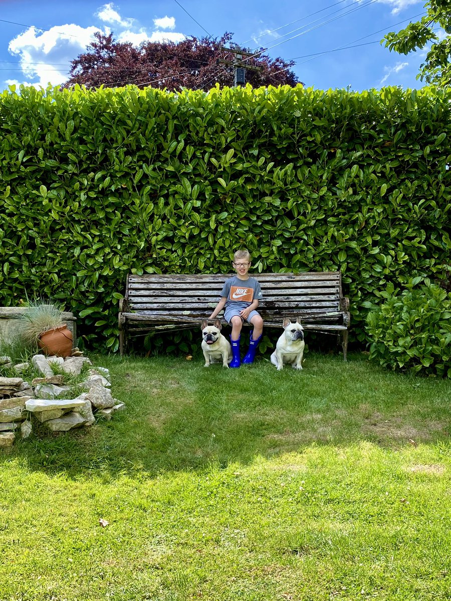 katpollinger's tweet photo. Just a boy with his Nana’s dogs sat on @DickKingSmith bench 🥰 #homeofbabe #sheeppig #diamondscottage #dickkingsmith #childrensbooks #repairshop #frenchies #frenchbulldog #bestmates @Sharon1Dunford1 @TheRepairShop https://t.co/gVFUJNsYdj