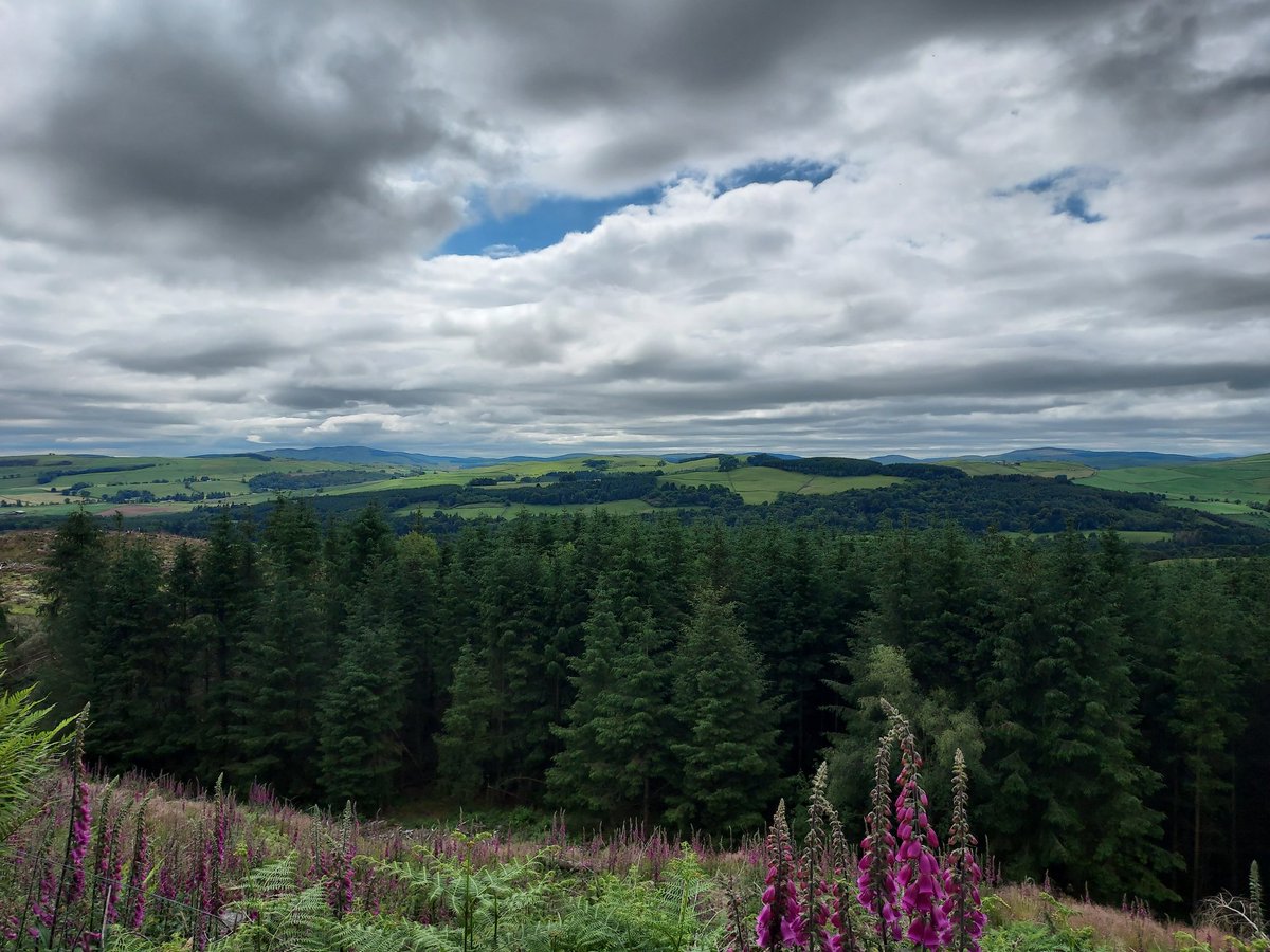 SelScottA's tweet photo. Top of the world at what feels like our private shooting ground as only us there! #auldgirth https://t.co/jmY3GGD7IH