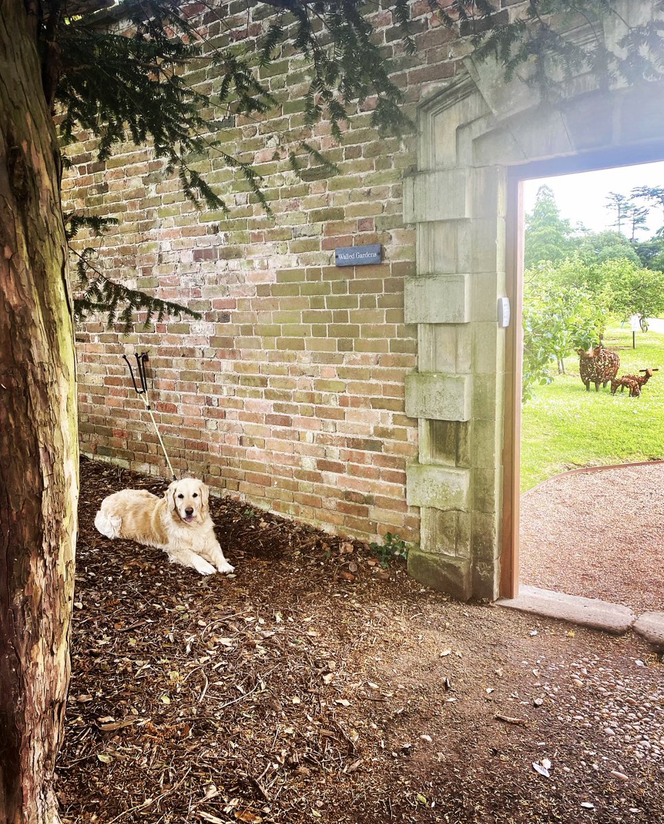 Croome Walled Garden tweet media