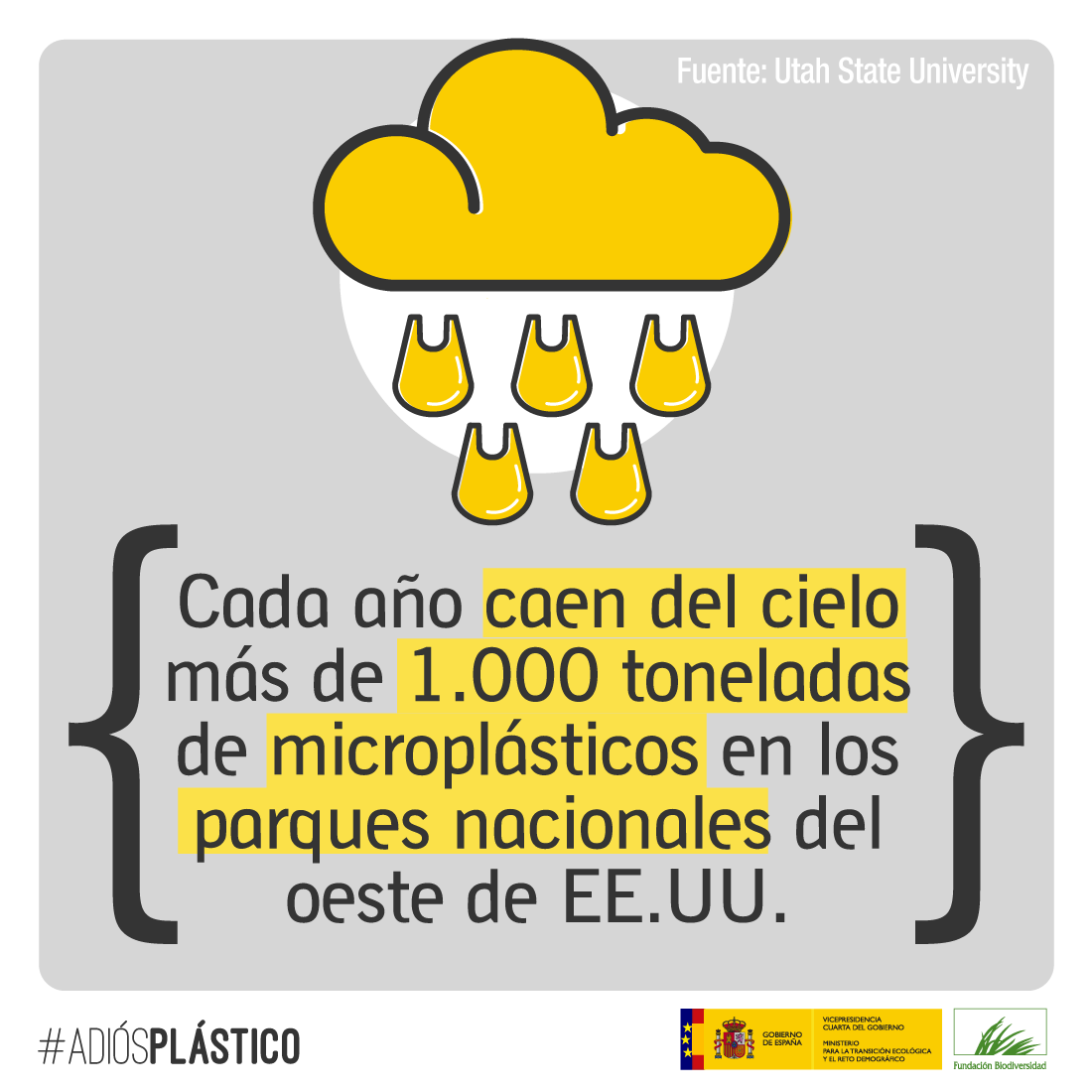 FBiodiversidad's tweet photo. “It's Raining Plastic” ☔

Hemos conseguido llevar #plástico a cualquier parte del planeta, desde la fosa de las Marianas al Everest, pero esta vez nos hemos superado…

#AdiosPlástico👋 https://t.co/Z8dKh1AvgY