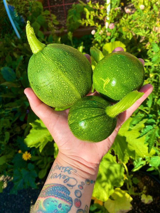 Watch 🌈 kezia slater💘's leaked NSFW photo on TwXstars