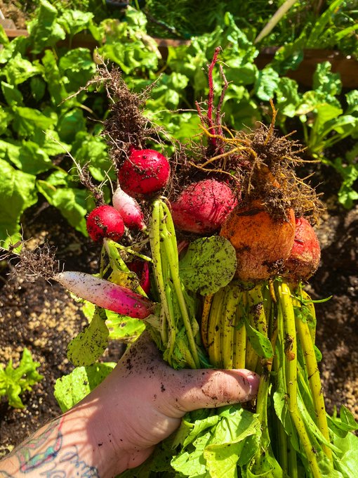 Watch 🌈 kezia slater💘's leaked NSFW photo on TwXstars