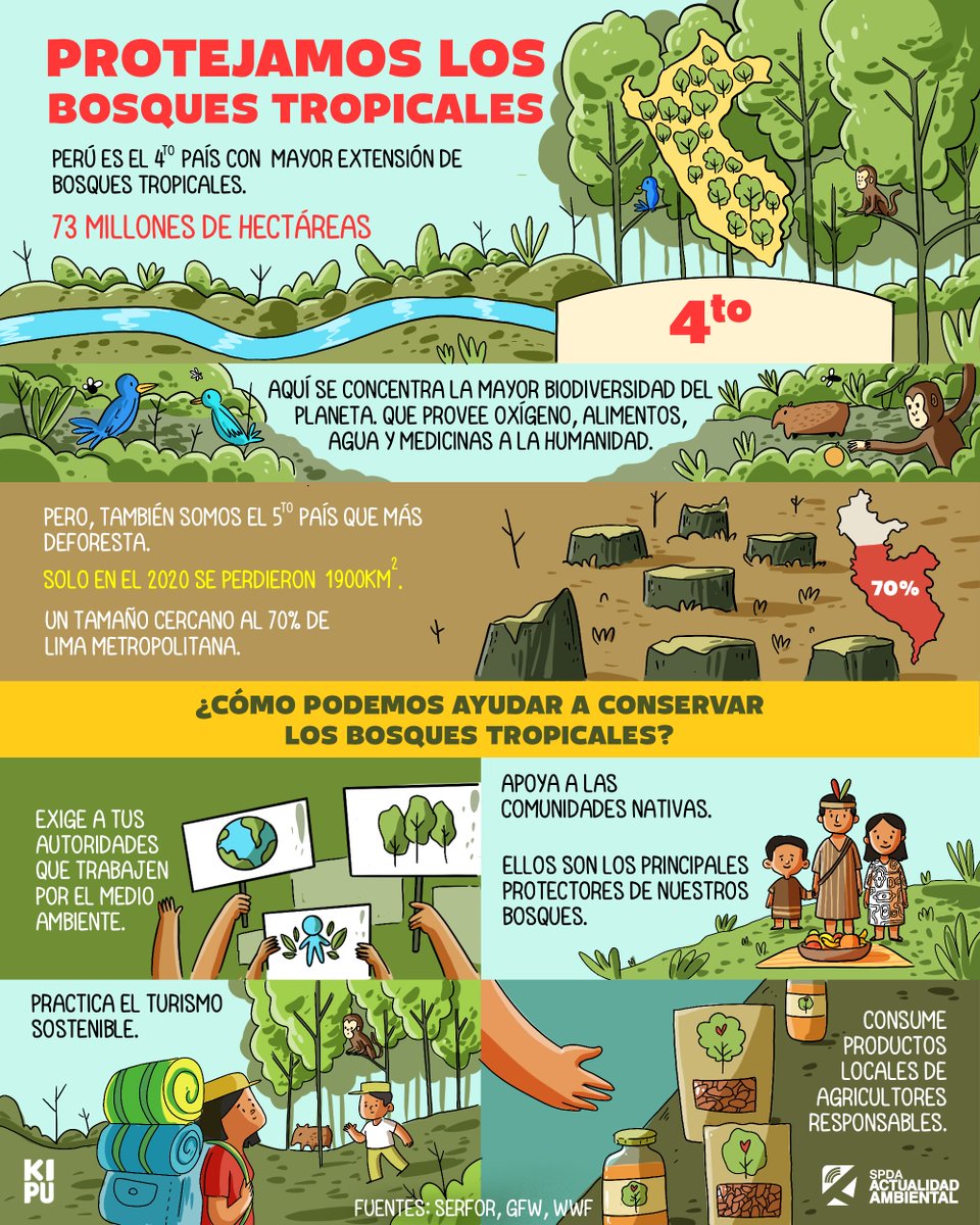 KipuVisual's tweet photo. Perú es un país con abundantes bosques tropicales. ¿Qué podemos hacer para conservarlos? 🇵🇪🌳🌳😊

#DiaInternacionaldelaPreservacióndelosBosquesTropicales @MinamPeru @spdaorg @MongabayLatam https://t.co/sHyibBTKWB