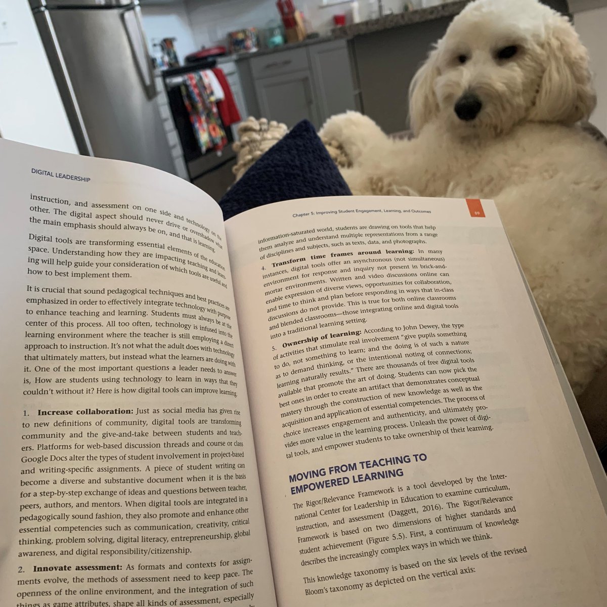 aworle10's tweet photo. Minnie and I are enjoying our summer reading - @E_Sheninger says it best when he says to "unleash the power of digital tools, and empower students to take ownership of their learning". This is just one of many ways digital tools can lead to improved learning! #KSUITEC7410 https://t.co/RbL1GRkQnW