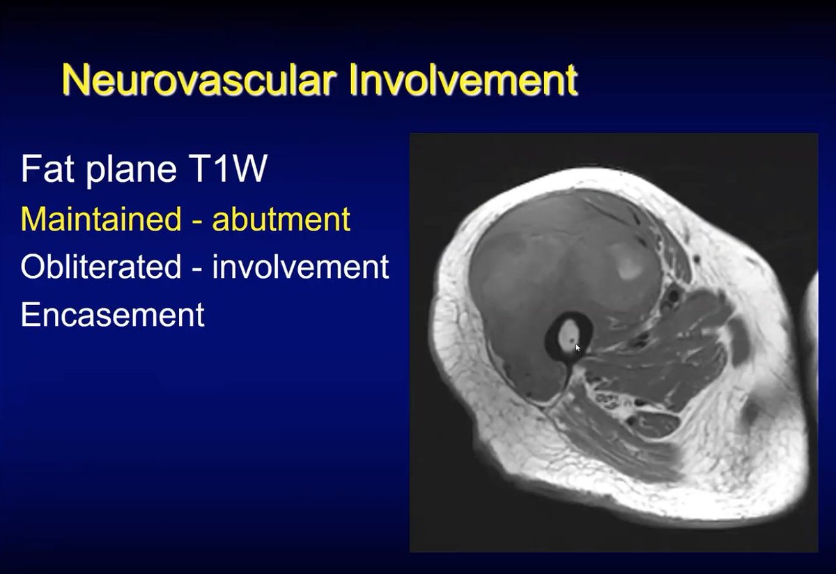 Emmanuelle Chung tweet media