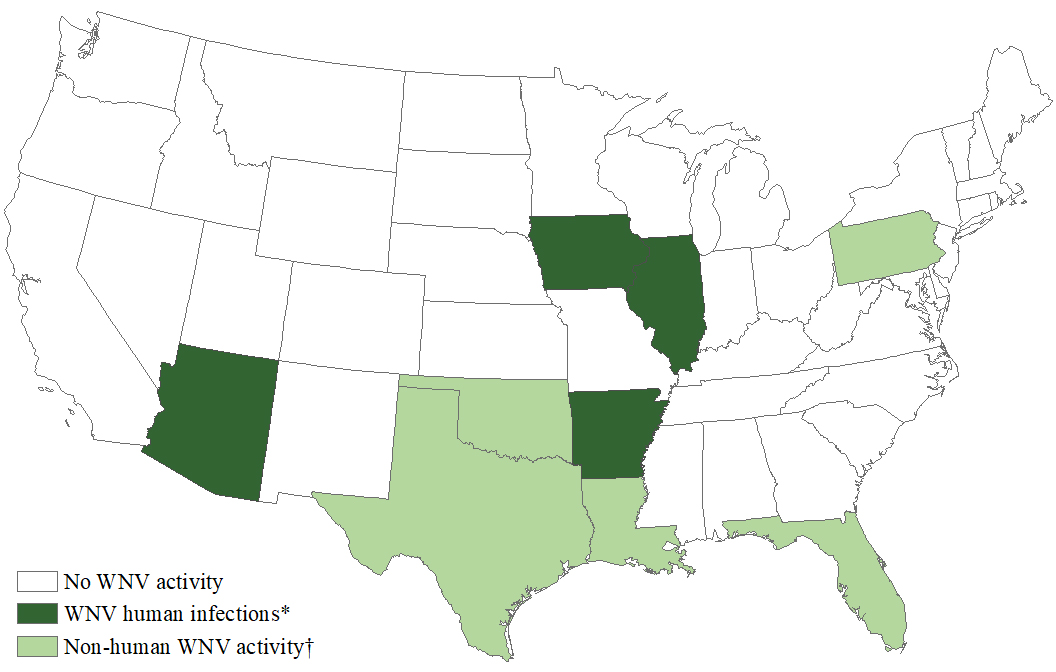 #MapOfTheWeek for #NationalMosquitoWeek:
<a href="/CDCgov/">CDC</a> WEST NILE VIRUS ACTIVITY BY STATE 2021

🗺️publichealthmaps.org/map-of-the-week

@AMCAtweets <a href="/AMCAYPs/">AMCA Young Pros 🦟</a> <a href="/ada_eez/">Ada Eez The Mosquito🦟</a> #TipTossProtect #ArboNET #WNV #Mosquito #MosquitoControl #MosquitoControlAwarenessWeek #SciComm #PublicHealth #Maps #PublicHealthMaps