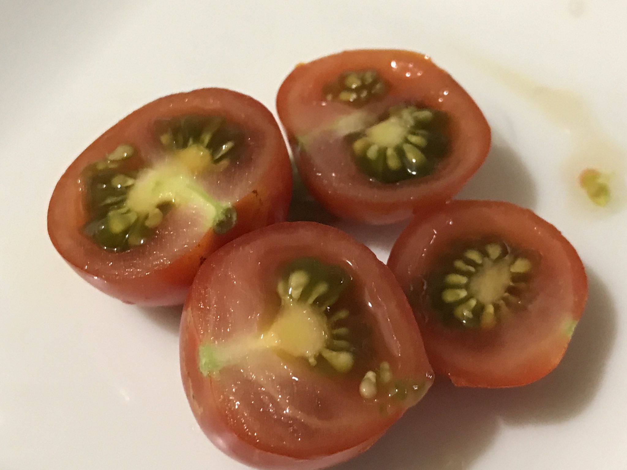 くまのみん ミニトマト栽培56日目 脇芽摘みと元気のない下葉の整理をしました 風通しをよくしないと虫とかに被害受けるみたいです 水は毎日あげてます なんかトマトに白いフワフワした虫見たいのがとまってますね ミニトマト T Co