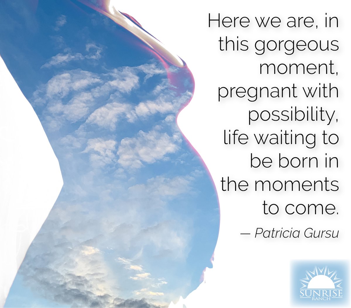 SunriseRanch's tweet photo. #sunriseranch #spiritualawakening #letloveradiate #spirituality https://t.co/G7fsv5DqA2