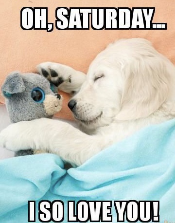 Saturday Vibes got us like… 😴 💤 
Have a great weekend!!! 

#jacksfamily #jacksinc #jmipetsupply #petproducts #petindustry #saturdayvibes #welcometothefamily #weekendvibes