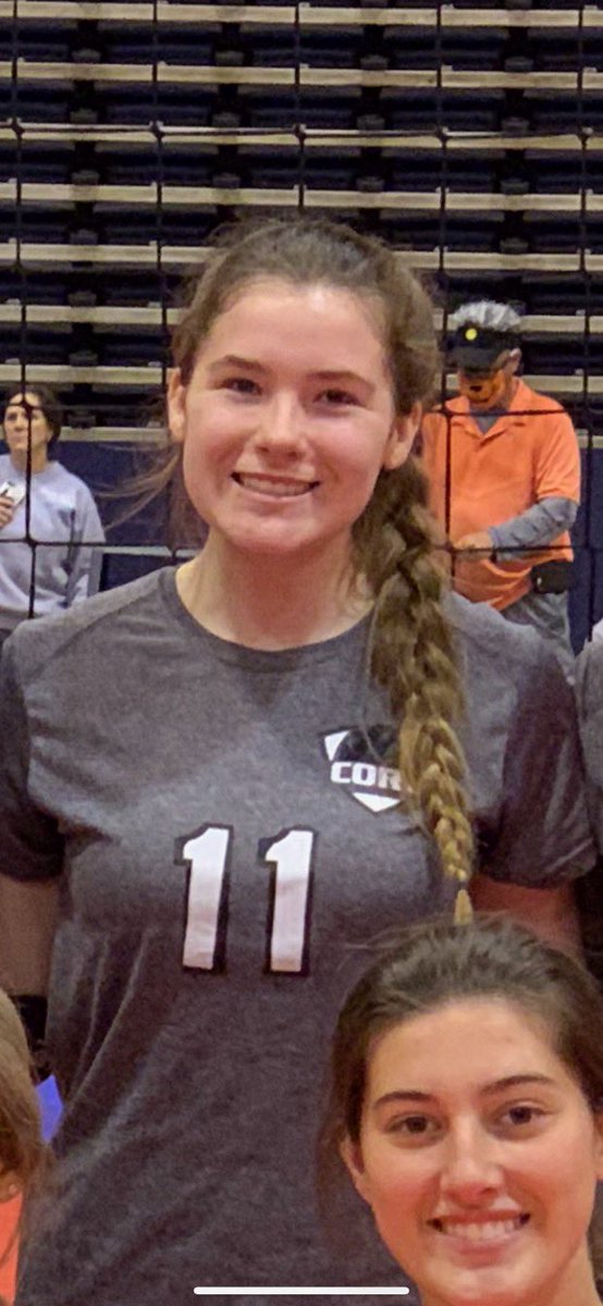 Core STL tweet media