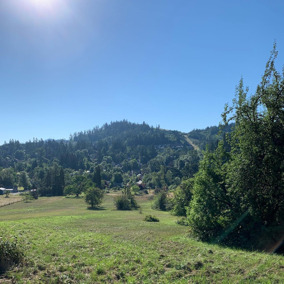 SamanthaShune's tweet photo. Out early to try to beat the record setting heat here! Always better when you are running for a cause! #drsrun2021 #dysphagia #dysphagiaawareness #dysphagiaawarenessmonth #5kplus 

@Official_DRS https://t.co/pq4mgTabBK