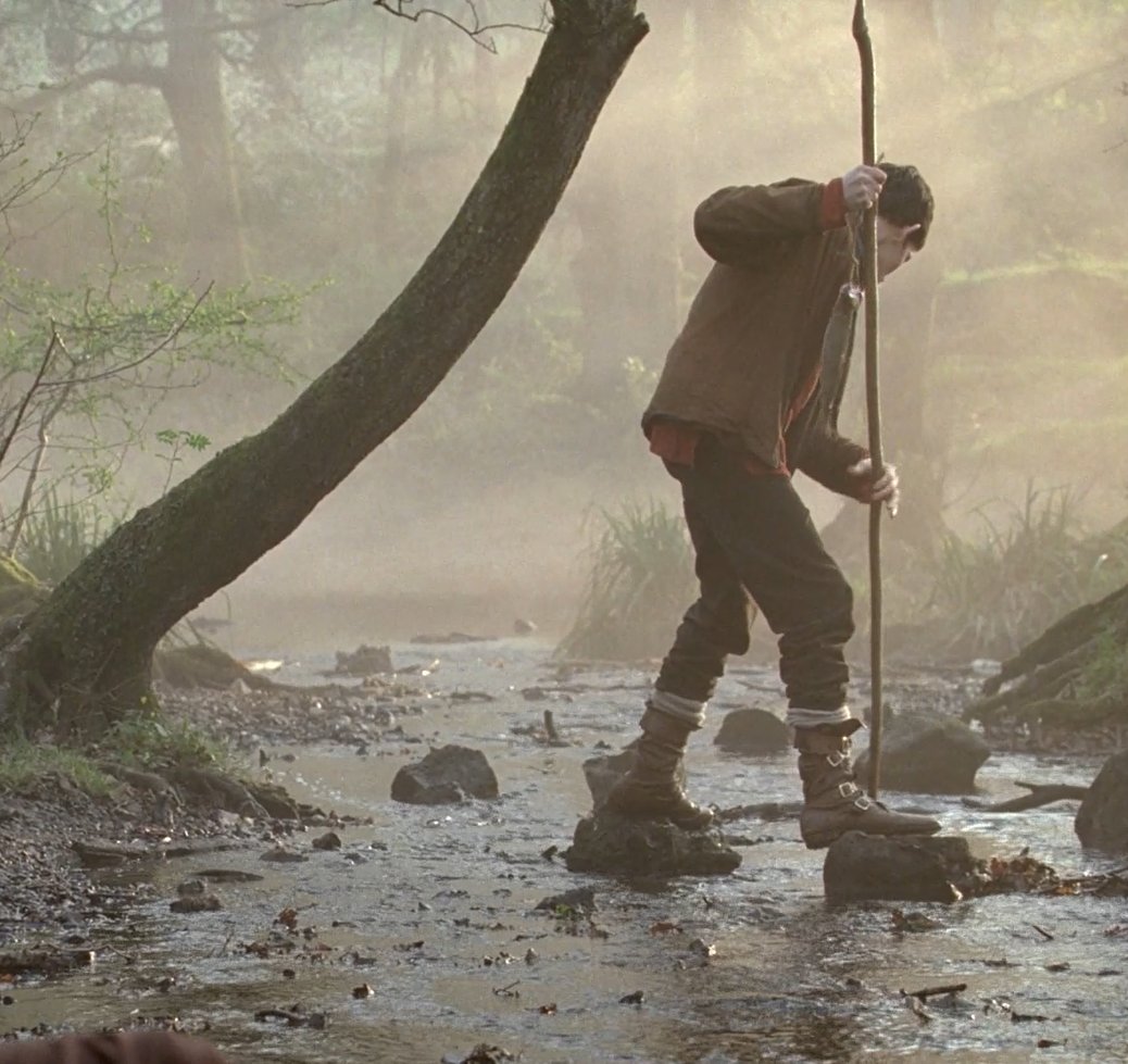 fandomfile's tweet image. 