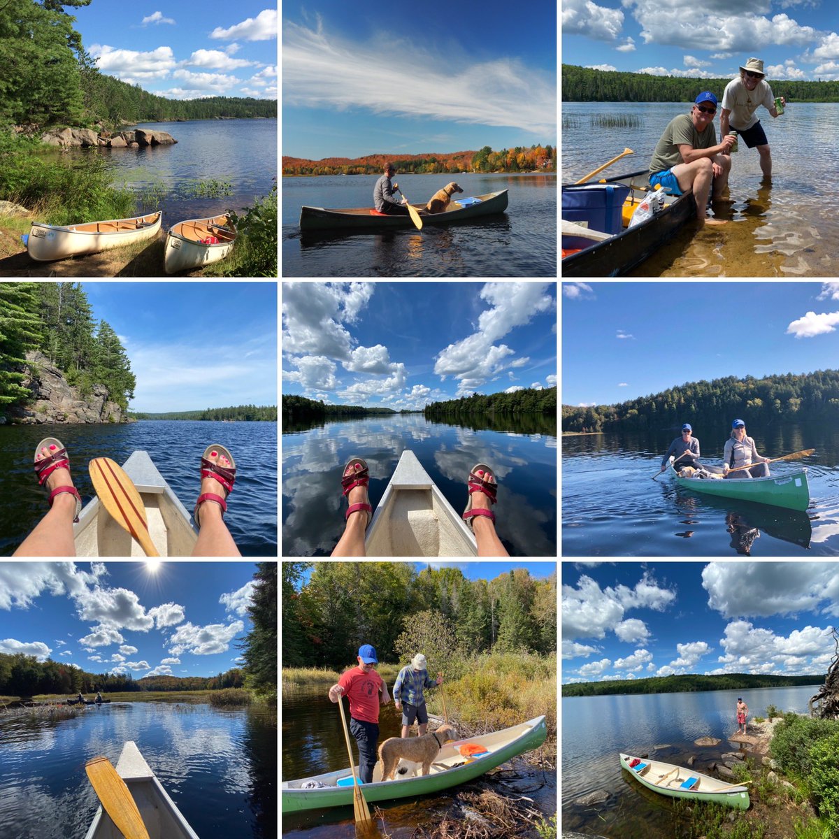 DocMalec's tweet photo. @Algonquin_PP How can I pick just one ??? Many years we have been paddling in @Algonquin_PP and here are a few from the past year. #canoe #canoeviews https://t.co/1Li7SkpYoe