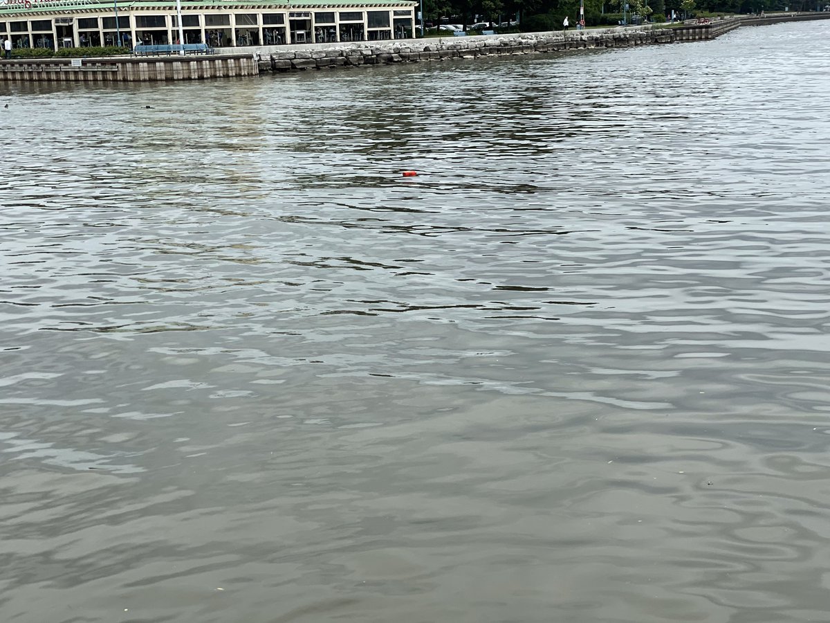 ASSIST CITIZEN:
- Lakeshore Rd/Front St, #Mississauga
- Reports of a vehicle that has entered into the water
- Completely submerged
- No injuries
- #PRP Dive Team and Marine Unit on scene
- C/R at 2:23am
- PR21-0220425