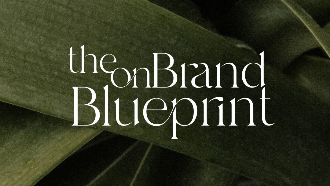 Bethany McCamish | Brand + Web Strategist tweet media