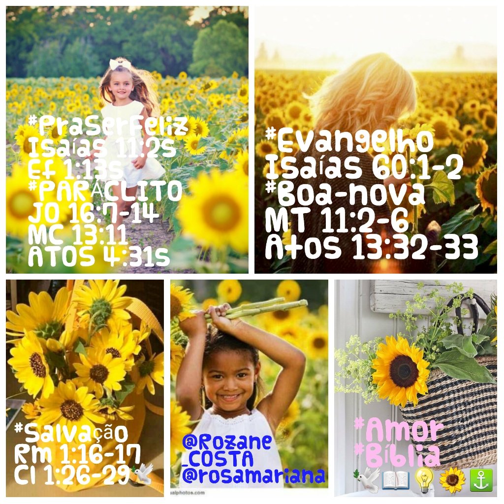 Jssica55272746's tweet photo. @RosaMar14112784 @Rozane_Costa #Bíblia #Exportar #VozDivina #ConheçaOsFatos #Amém #Twittes #Girassóis #Groselhas #BibleStudy #Jesus #salvation #destileapalavra #sobrenatural #orvalho "Vc tem uma caixa-preta dentro da sua casa!"( Hb4,12--13) #sobrenatural #caminhodapalavra #VerseOfTheDay https://t.co/cR9A7UTVCj