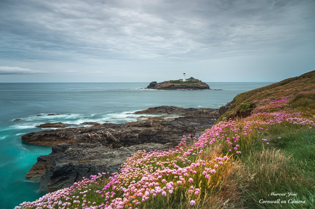 Sea Pinks on the cliff tops at Godrevy.
#Cornwall #Kernow #godrevy #seapinks #thrift #plants #flowers #nature #mothernature #spring #lighthouse #colour #clouds #sea #coast #canon #photooftheday #photography #seascape #landscapephotography #nisifilters #longexposure #art